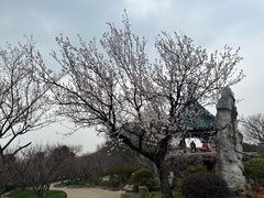 -无锡梅园公园