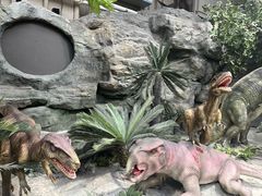 -国家自然博物馆