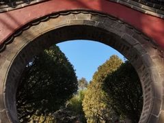 -渡海小渔村.老辈日照菜