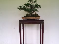 -成都杜甫草堂博物馆