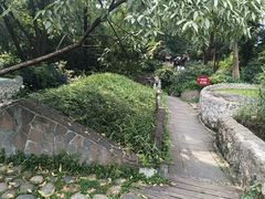 -成都市活水公园