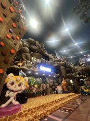 -卡通尼·Safari非洲探索乐园·生日会(金桥国际商业广场店)