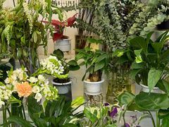 -花草间花行(法华镇路店)