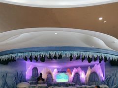 -帝企鹅自助餐厅•儿童岛•真企鹅(长隆企鹅酒店)