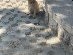 -妙峰山风景名胜区