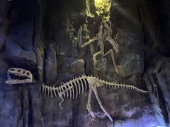 -东方山水乐园山之王国(全室内)