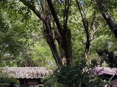 -园林美食城·本土农家菜(杨和镇店)