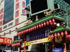-罗汉果龙眼冰糖燉冬瓜