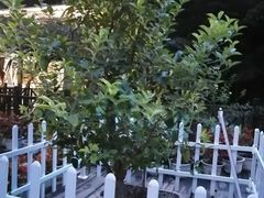 -天怡·鱼工厂(梅溪湖店)