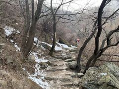 -阳台山自然风景区