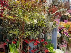 -宝鸡东道花鸟鱼虫市场(吉利花园商场店)