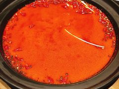 -杨家火锅(国美店)