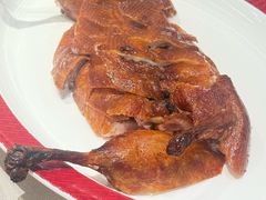 -圆苑(静安寺店)