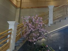 -纽斯洗浴SPA(三墩店)