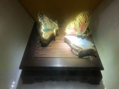 -上海昆虫博物馆