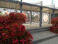 外围-雁滩公园