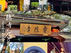 -庆春朴门