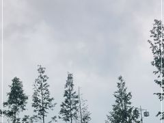 -磁器口古镇