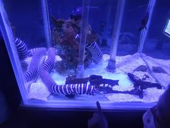 -太平洋海底世界