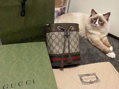 -Gucci(北京SKP店)