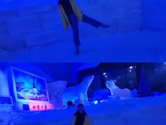 -世界之窗阿尔卑斯冰雪世界