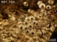 -太湖源风景区