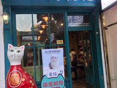 -猫咪博物馆(顶澳仔猫街店)