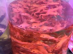 -华声天桥民俗文化园