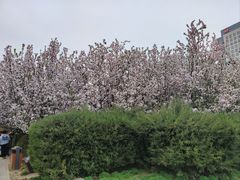 -元大都城垣遗址公园