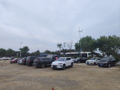 -老太太海鲜城(森林公园任家台店)