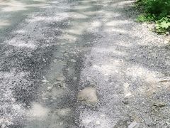 -本溪汤沟绿石谷森林公园
