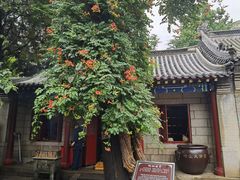 -青岛崂山太清宫