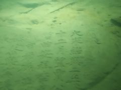 -白鹤梁水下博物馆