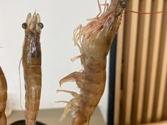 -享月汤皇·海鲜小火锅·聚会(曲江创意谷店)