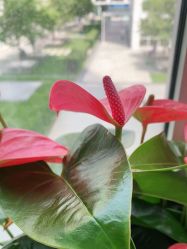 -变画·发型STUDIO