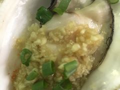 -蚝专家