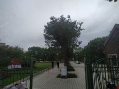 -新江湾城公园