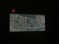 -枫花园汽车电影院(朝阳公园店)