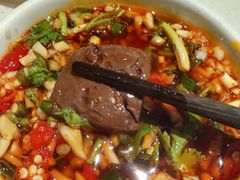 -红鼎坊·老成都火锅(新南门店)