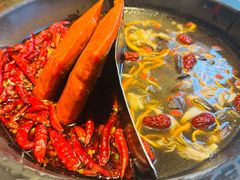 -蜀大侠火锅(总府路店)