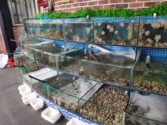 水产区-蟹谢蒸鲜自助餐厅