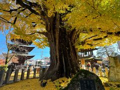 -医王山·飞騨国分寺