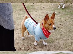 -钟山体育运动公园