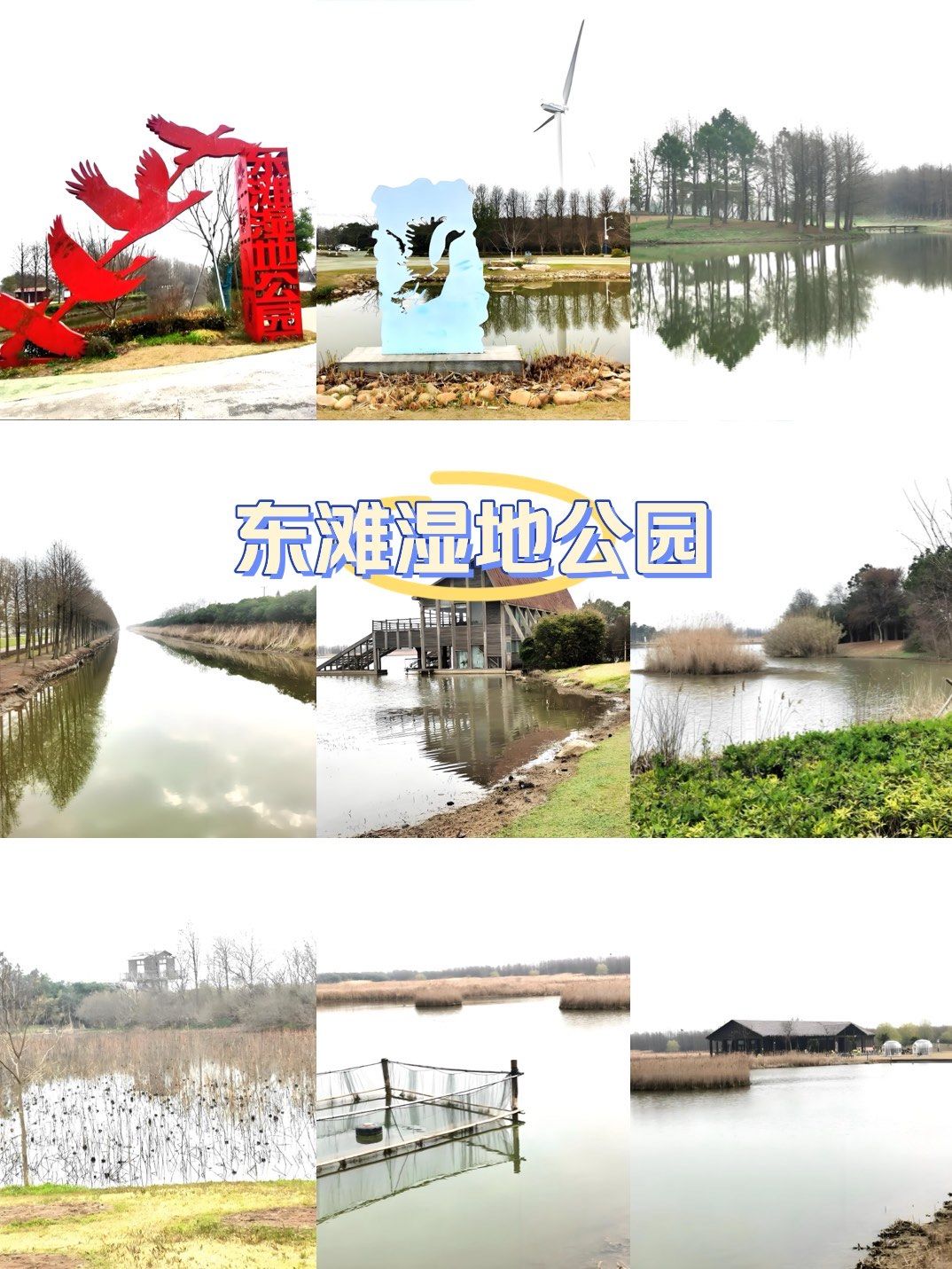 中国第三大岛崇明岛东滩湿地公园