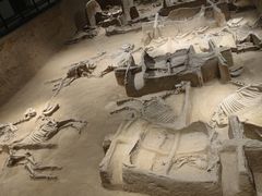 -洛阳周王城天子驾六博物馆