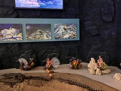 -上海中国航海博物馆