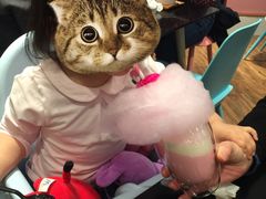 樱花拿铁-随心小姐