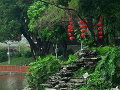 -荔湾湖公园
