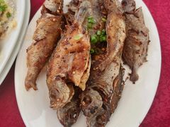 香煎杂鱼-深圳市大鹏新区华记山海农庄餐厅