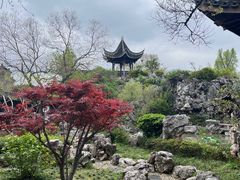 -芥子园